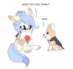 Size: 3562x3359 | Tagged: safe, artist:indiefoxtail, oc, oc only, oc:feather fluff, corgi, drawing, flower, high res, mouth hold, rose, simple background, transparent background