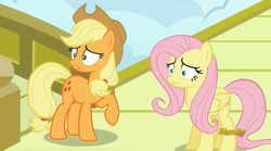 Size: 1273x707 | Tagged: safe, screencap, applejack, fluttershy, pony, g4, viva las pegasus, discovery family logo