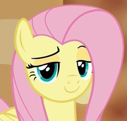 Size: 713x681 | Tagged: safe, screencap, fluttershy, pegasus, pony, g4, viva las pegasus, bust, cropped, cute, dreamworks face, faic, female, lidded eyes, looking at you, mare, portrait, sassy, shyabetes, smiling, smug, smugshy