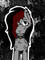 Size: 751x1000 | Tagged: safe, artist:lazerblues, oc, oc only, oc:miss eri, black and red mane, chest fluff, choker, ear piercing, piercing, solo, two toned mane