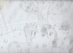 Size: 3500x2544 | Tagged: safe, artist:ilukaappledash, applejack, rarity, pony, g4, female, high res, lesbian, mare, monochrome, newbie artist training grounds, ship:rarijack, shipping, traditional art