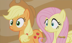 Size: 1213x717 | Tagged: safe, screencap, applejack, fluttershy, pony, g4, viva las pegasus, reaction image, sudden realization