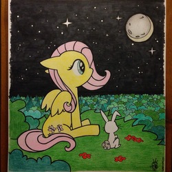 Size: 2448x2448 | Tagged: safe, artist:fritofredrik, angel bunny, fluttershy, pegasus, pony, g4, duo, full moon, high res, looking away, looking up, moon, night, sitting, stars, traditional art