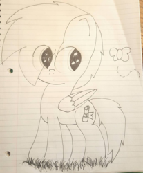 Size: 813x982 | Tagged: safe, artist:bronybehindthedoor, oc, oc only, butterfly, lined paper, monochrome, newbie artist training grounds, solo, traditional art