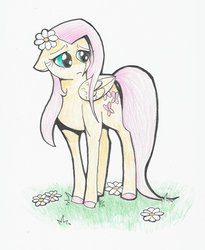 Size: 1024x1246 | Tagged: safe, artist:ruthawesome19, fluttershy, g4, female, flower, flower in hair, newbie artist training grounds, solo, traditional art