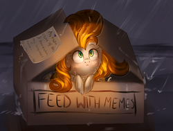 Size: 1321x1000 | Tagged: safe, artist:segraece, oc, oc only, oc:golden rain, pony, box, pony in a box, rain, solo