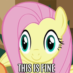 Size: 334x334 | Tagged: safe, edit, edited screencap, screencap, applejack, fluttershy, g4, viva las pegasus, argument in the comments, caption, duckery in the comments, faic, image macro, las pegasus stare, meme, reaction image, smiling, text, this is fine, thousand yard stare