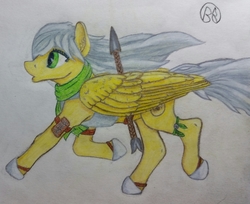 Size: 2474x2021 | Tagged: safe, artist:blastradiuss, oc, oc only, oc:radiant resplendence, pegasus, pony, ponyfinder, armor, cleric, clothes, dungeons and dragons, high res, pathfinder, pen and paper rpg, rpg, scarf, solo, spear, traditional art, weapon