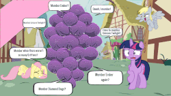 Size: 1280x720 | Tagged: safe, derpy hooves, fluttershy, pinkie pie, twilight sparkle, alicorn, pony, g4, cowering, disturbed, first person view, gif, holding, male, member berries, non-animated gif, offscreen character, pov, south park, speech bubble, twilight sparkle (alicorn), wat