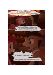 Size: 3541x5016 | Tagged: safe, artist:gashiboka, doctor whooves, roseluck, time turner, earth pony, pony, comic:recall the time of no return, g4, comic, male, stallion