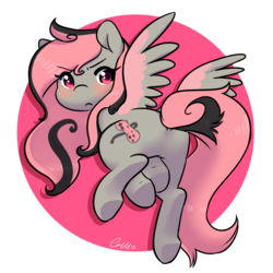 Size: 1280x1280 | Tagged: safe, artist:abeomaero, oc, oc only, pegasus, pony, solo