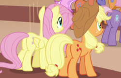 Size: 394x252 | Tagged: safe, screencap, applejack, fiery fricket, fluttershy, frying pan (g4), horseshoe comet, pony, g4, viva las pegasus, butt, cropped, female, las pegasus resident, mare, plot