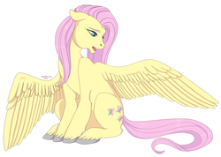 Size: 1280x911 | Tagged: safe, artist:tardisrave, fluttershy, g4, female, looking back, open mouth, simple background, sitting, solo, spread wings, unshorn fetlocks, white background