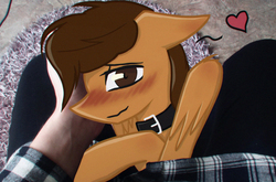 Size: 1280x847 | Tagged: safe, artist:taleriko, oc, oc only, oc:toanderic, human, pony, rcf community, blushing, collar, heart, irl, offscreen character, photo, ponies in real life, pov
