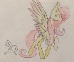 Size: 682x570 | Tagged: safe, artist:celticsphinx, angel bunny, fluttershy, g4, newbie artist training grounds, traditional art