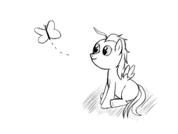 Size: 800x600 | Tagged: safe, artist:albertmanhattan, butterfly, generic pony, monochrome, newbie artist training grounds, solo