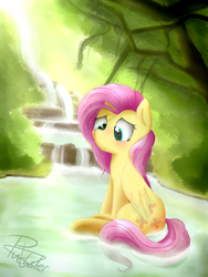 Size: 5400x7200 | Tagged: safe, artist:pucksterv, fluttershy, g4, absurd resolution, blushing, cute, female, folded wings, looking down, shyabetes, sitting, solo, waterfall, wet mane