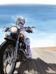 Size: 782x1040 | Tagged: safe, artist:satouyuka, limestone pie, g4, badass, clothes, female, goggles, jeans, motorcycle, pants, pixiv, road, shirt, shorts, solo, t-shirt