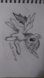 Size: 2432x4320 | Tagged: safe, artist:directorstark, rainbow dash, g4, female, newbie artist training grounds, sideways image, solo, traditional art