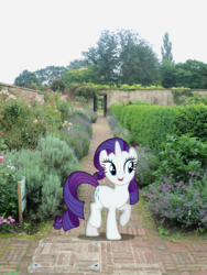 Size: 2736x3648 | Tagged: safe, artist:harvydraws, rarity, g4, flower, garden, high res, irl, photo, ponies in real life, solo