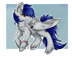 Size: 1250x1000 | Tagged: safe, artist:serenity, oc, oc only, oc:scratche aux, pegasus, pony, bracelet, jewelry, leap in skill, male, necklace, simple background, solo