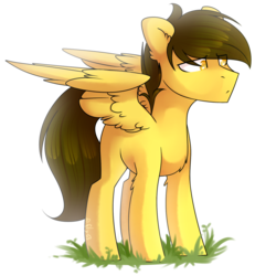 Size: 1024x1109 | Tagged: safe, artist:starlyfly, oc, oc only, pegasus, pony, solo