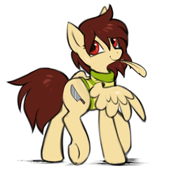 Size: 629x652 | Tagged: dead source, safe, artist:hioshiru, pegasus, pony, chara, feather, ponified, side view, solo, undertale