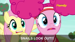 Size: 1599x900 | Tagged: safe, screencap, fluttershy, pinkie pie, pony, buckball season, g4, official, discovery family logo, faic, pinktails pie, subtitles