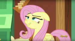 Size: 1436x784 | Tagged: safe, screencap, fluttershy, pegasus, pony, dungeons and discords, g4, season 6, discovery family logo, face, female, lidded eyes, mare, solo