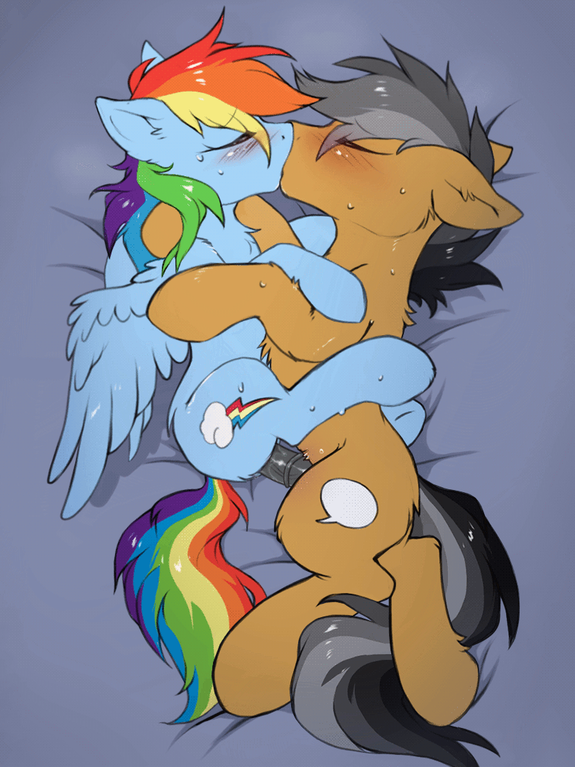 Pony Sex Rainbow Dash - 1240235 - animated, artist:hioshiru, artist:htpot, bed ...