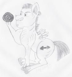 Size: 1695x1813 | Tagged: safe, artist:polonius25, bulk biceps, g4, hoof hold, male, newbie artist training grounds, solo, traditional art, vein, weight lifting, weights