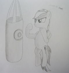 Size: 705x745 | Tagged: safe, artist:unlicensedbrony, rainbow dash, g4, female, newbie artist training grounds, punching bag, solo, traditional art