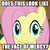 Size: 332x333 | Tagged: safe, edit, edited screencap, screencap, applejack, fluttershy, g4, my little pony: friendship is magic, viva las pegasus, caption, dead stare, face of mercy, faic, image macro, las pegasus, las pegasus stare, looking at you, meme, reaction image, text, thousand yard stare