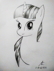 Size: 2448x3264 | Tagged: safe, artist:truffle shine, twilight sparkle, g4, bust, female, high res, portrait, sketch, solo