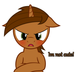 Size: 2000x1936 | Tagged: safe, artist:waveywaves, oc, oc only, oc:copper, blatant lies, blushing, dialogue, floppy ears, i'm not cute, simple background, solo, transparent background