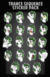 Size: 1285x1963 | Tagged: safe, artist:drawponies, oc, oc only, oc:trance sequence, expressions