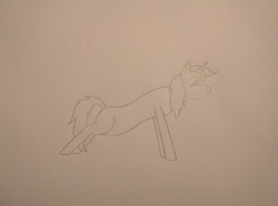 Size: 4160x3088 | Tagged: safe, artist:wintertail1, generic pony, monochrome, newbie artist training grounds, pencil drawing, solo, traditional art