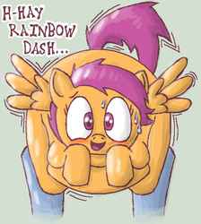 Size: 514x573 | Tagged: source needed, safe, artist:secretgoombaman12345, rainbow dash, scootaloo, g4, female, flattened, solo