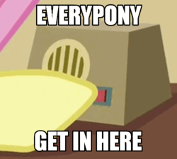 Size: 500x447 | Tagged: safe, edit, edited screencap, screencap, fluttershy, g4, viva las pegasus, caption, cropped, everyone get in here, harvey birdman, image macro, intercom, meme, phil ken sebben