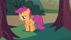 Size: 1100x618 | Tagged: safe, screencap, scootaloo, pony, g4, hearts and hooves day (episode), butt, female, hearts and hooves day, lidded eyes, mare, out of context, plot, solo