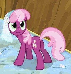 Size: 337x350 | Tagged: safe, screencap, cheerilee, pony, g4, hearts and hooves day (episode), butt, cropped, female, flowerbutt, hearts and hooves day, mare, mattress, plot, solo, veil, wedding veil
