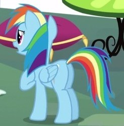 Size: 248x252 | Tagged: safe, screencap, rainbow dash, pony, g4, rarity investigates, butt, cropped, female, mare, plot