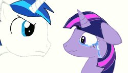 Size: 1176x679 | Tagged: safe, artist:hippityhoppity28, shining armor, twilight sparkle, alicorn, pony, g4, crying, disappointed, twilight sparkle (alicorn), upset