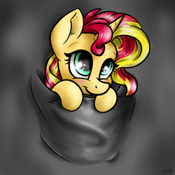 Size: 2024x2024 | Tagged: safe, artist:gaelledragons, sunset shimmer, pony, unicorn, g4, blushing, cute, female, high res, looking up, pocket, pocket pony, shimmerbetes, smiling, solo, tiny ponies