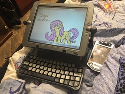 Size: 960x719 | Tagged: safe, fluttershy, g4, irl, photo, solo