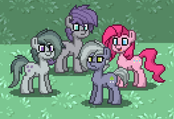 Size: 263x180 | Tagged: safe, limestone pie, marble pie, maud pie, pinkie pie, earth pony, pony, pony town, g4, pie sisters, screenshots