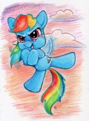 Size: 294x400 | Tagged: safe, artist:vinci_nicolaides, rainbow dash, g4, cute, drawing, female, littlest pet shop, solo, style emulation