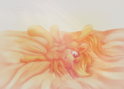 Size: 2800x2000 | Tagged: safe, artist:ferasor, applejack, g4, bellyrubs, female, high res, looking at you, on back, solo