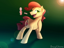 Size: 1600x1200 | Tagged: safe, artist:timidwithapen, oc, oc only, earth pony, pony, solo