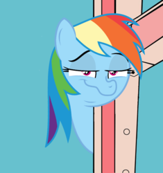 Size: 565x600 | Tagged: safe, rainbow dash, g4, bad day at cat rock, faic, looking at you, meme, rainbow dash is best facemaker, smug, smugdash, that fucking cat, that fucking dash, tom and jerry